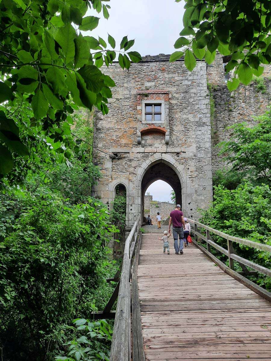 Ruine Schaunburg